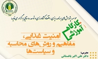 کارگاه آموزشی «امنیت غذایی، مفاهیم و روشهای محاسبه و سیاستها»