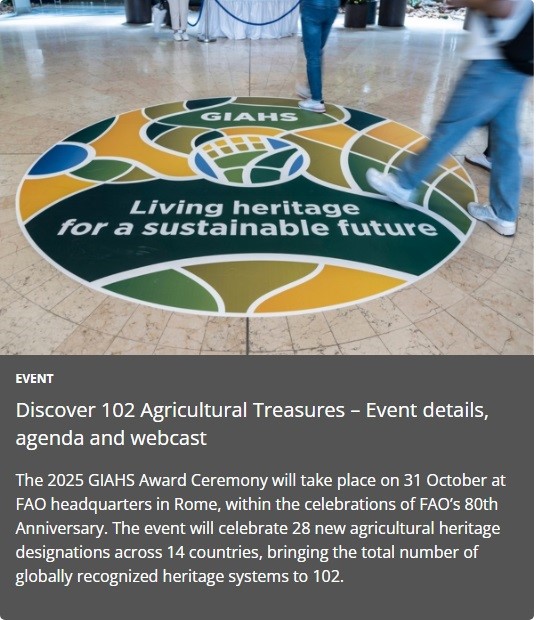 پخش زنده مراسم اعطای گواهی ثبت نظامهای میراثی کشاورزی مهم جهان (جیاس)؛ مصادف با هشتادمین سالگرد تاسیس فائو و همچنین جشن ثبت بیش از ۱۰۰ نظام میراثی کشاورزی مهم جهانی در دنیا.